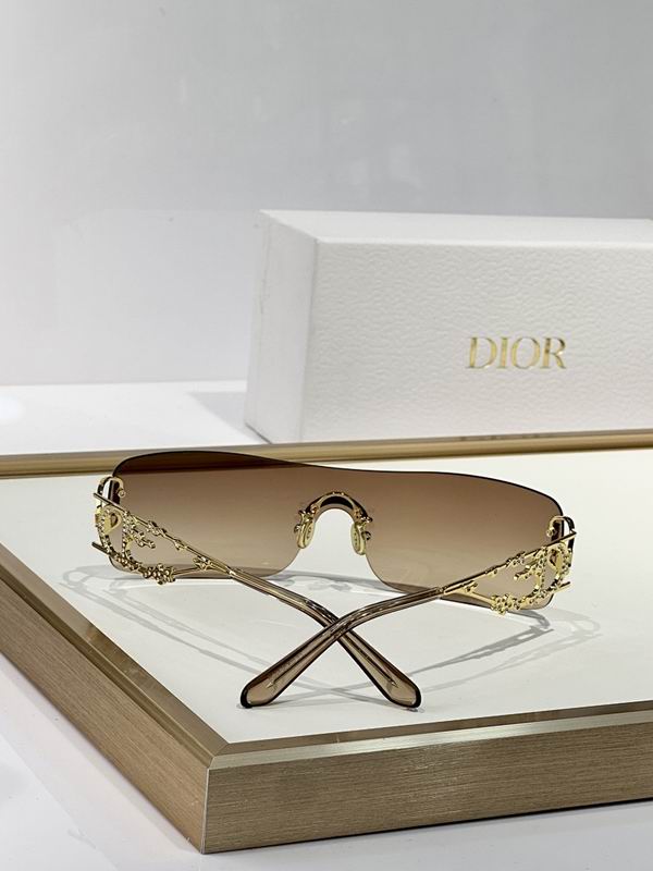 Dior Glasses smr (789)
