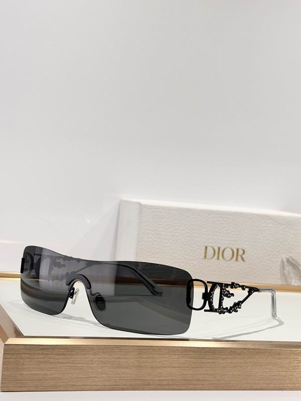 Dior Glasses smr (791)