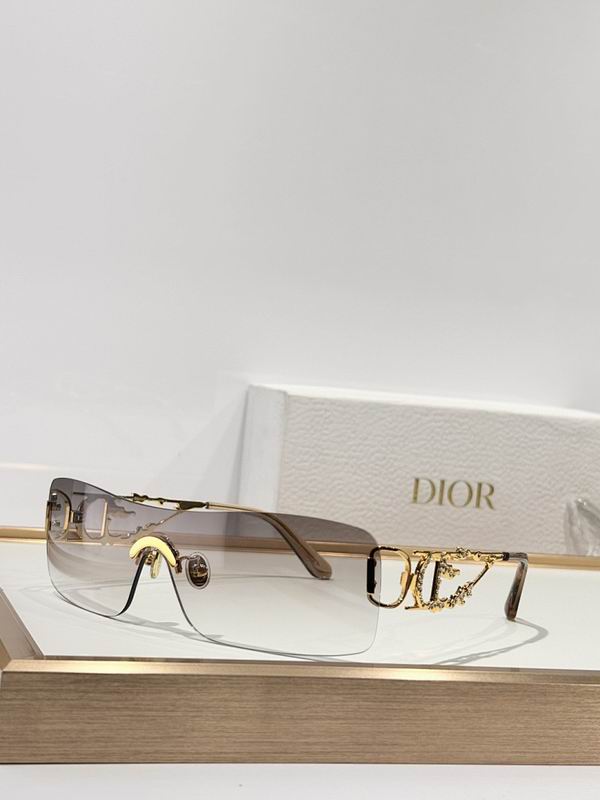 Dior Glasses smr (792)