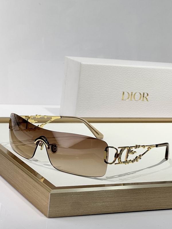 Dior Glasses smr (793)