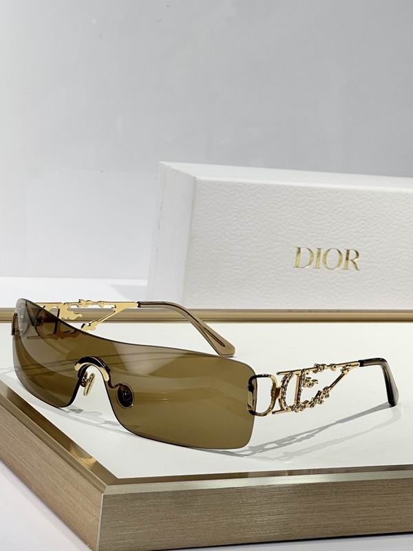 Dior Glasses smr (795)