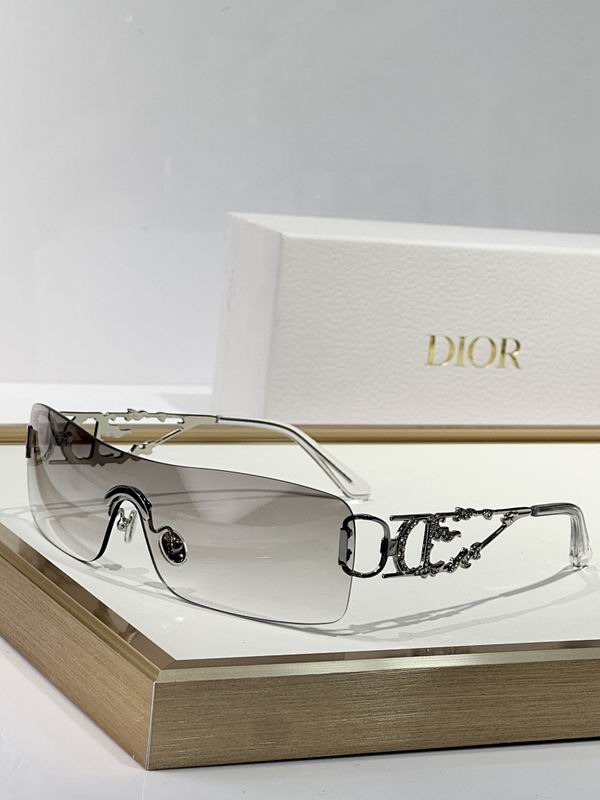 Dior Glasses smr (796)