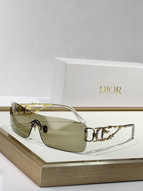 Dior Glasses smr (797)