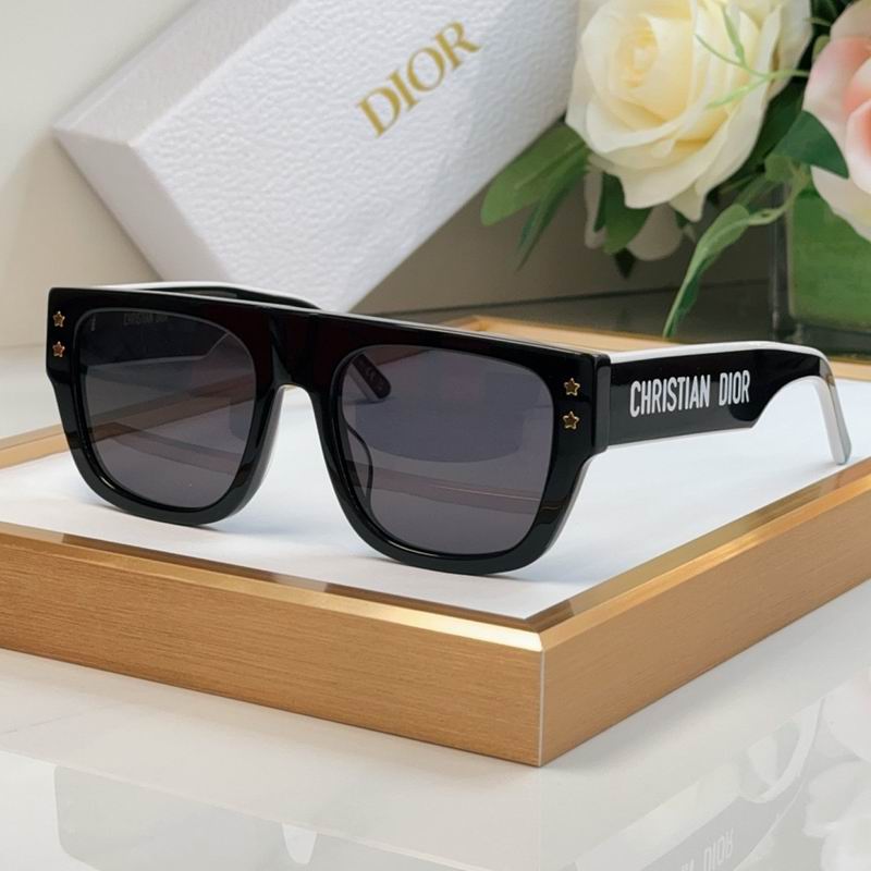 Dior Glasses smr (8)