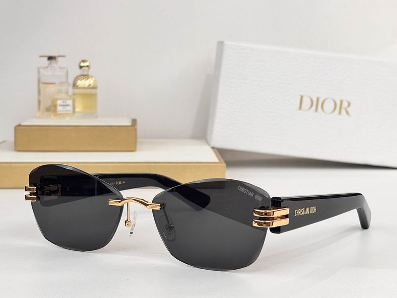 Dior Glasses smr (803)