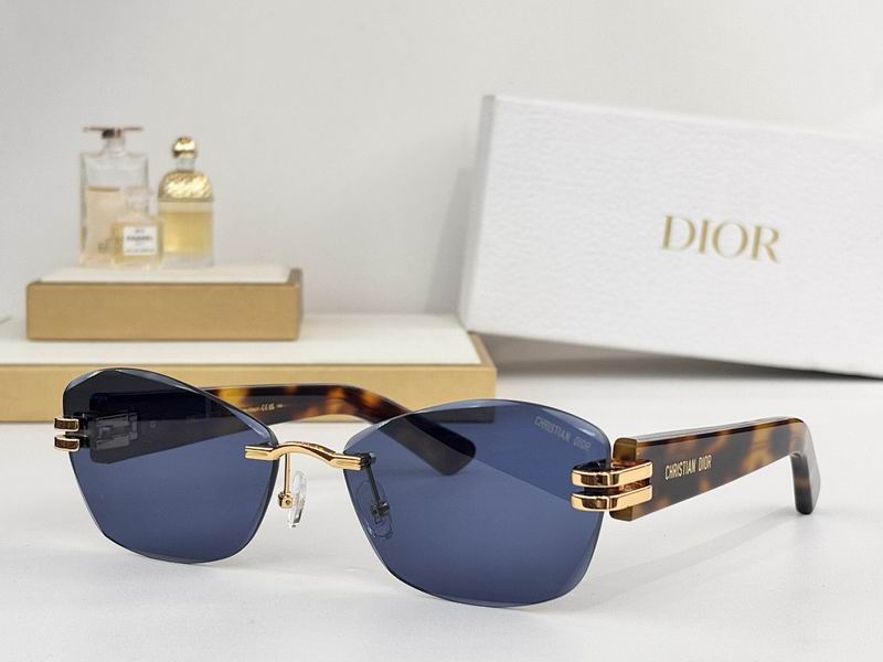 Dior Glasses smr (805)