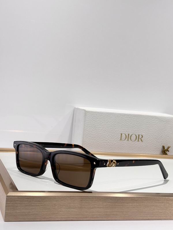 Dior Glasses smr (879)