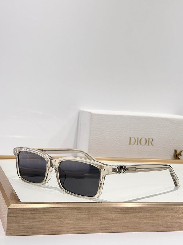 Dior Glasses smr (884)