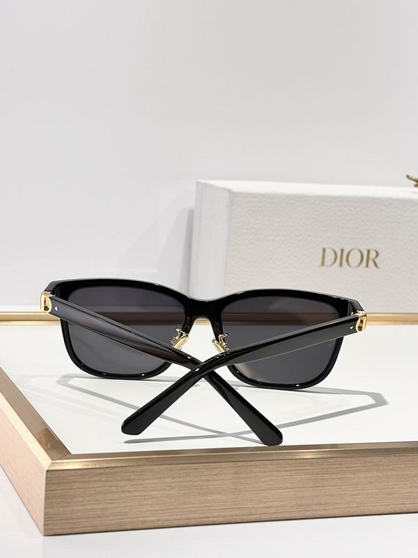 Dior Glasses smr (887)