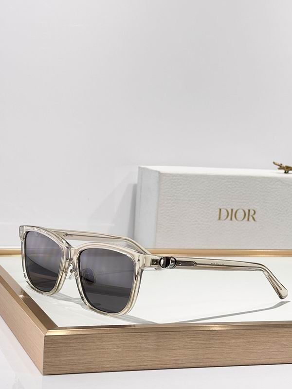 Dior Glasses smr (889)