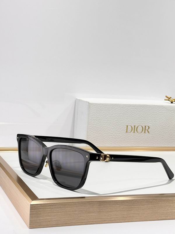 Dior Glasses smr (894)