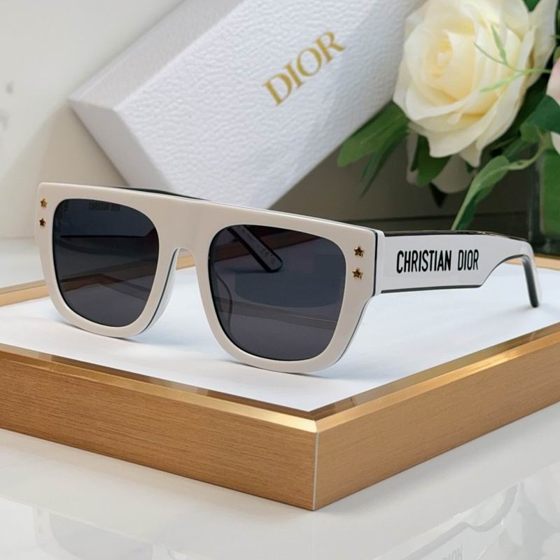Dior Glasses smr (9)