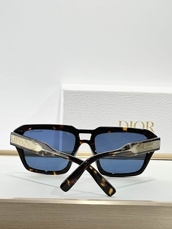 Dior Glasses smr (90)