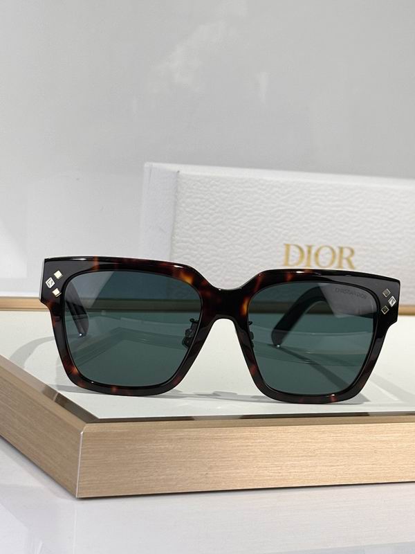 Dior Glasses smr (923)