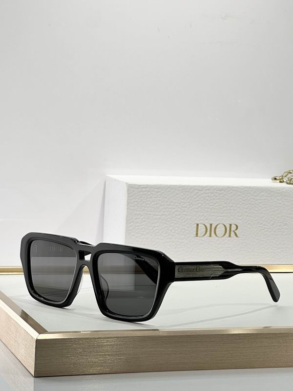 Dior Glasses smr (93)