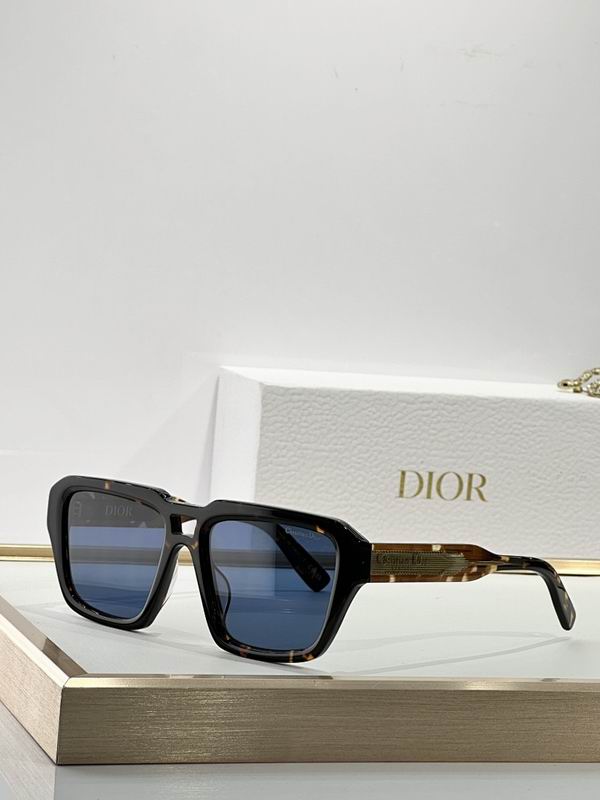 Dior Glasses smr (94)