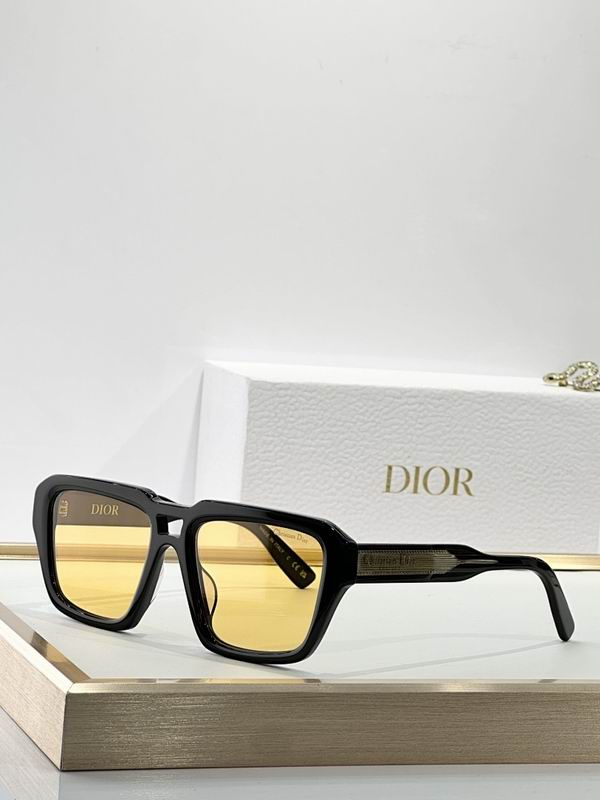 Dior Glasses smr (96)