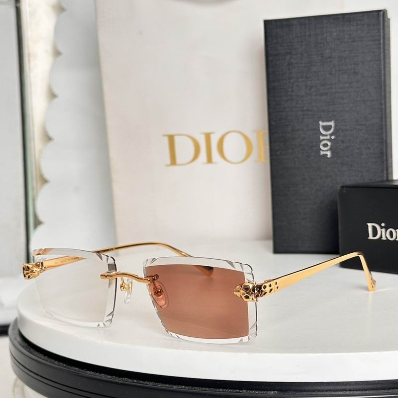 Dior Glasses smr (976)