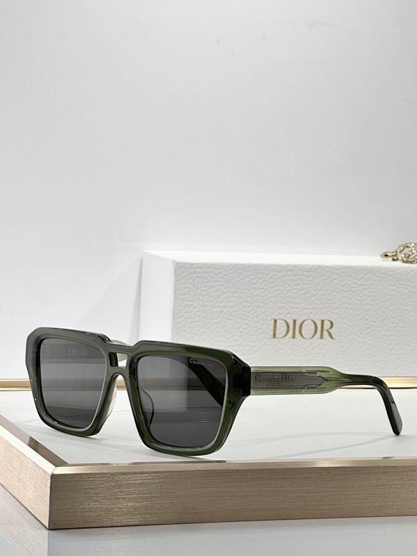 Dior Glasses smr (98)