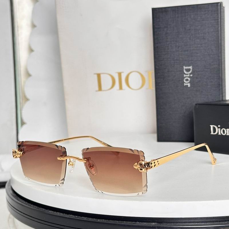 Dior Glasses smr (982)