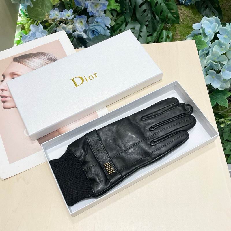 Dior Gloves 02 (2)