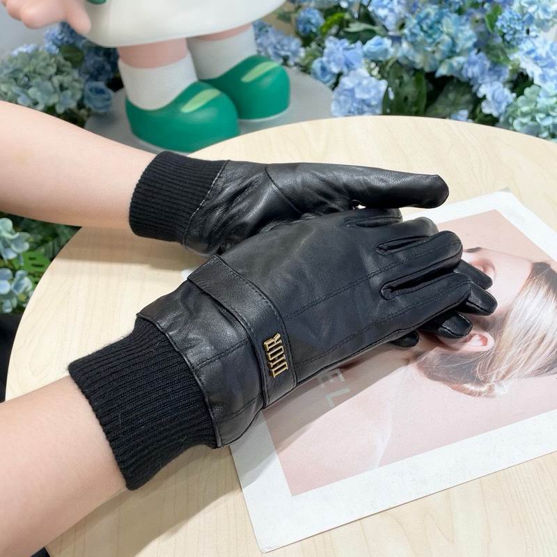 Dior Gloves 02 (9)