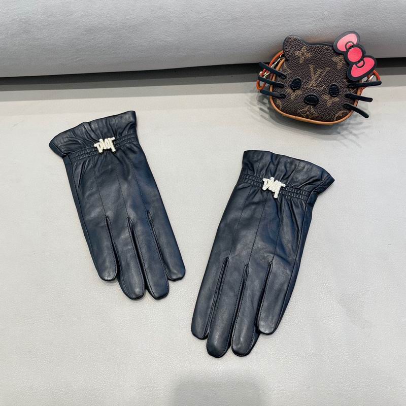 Dior Gloves 55 (6)