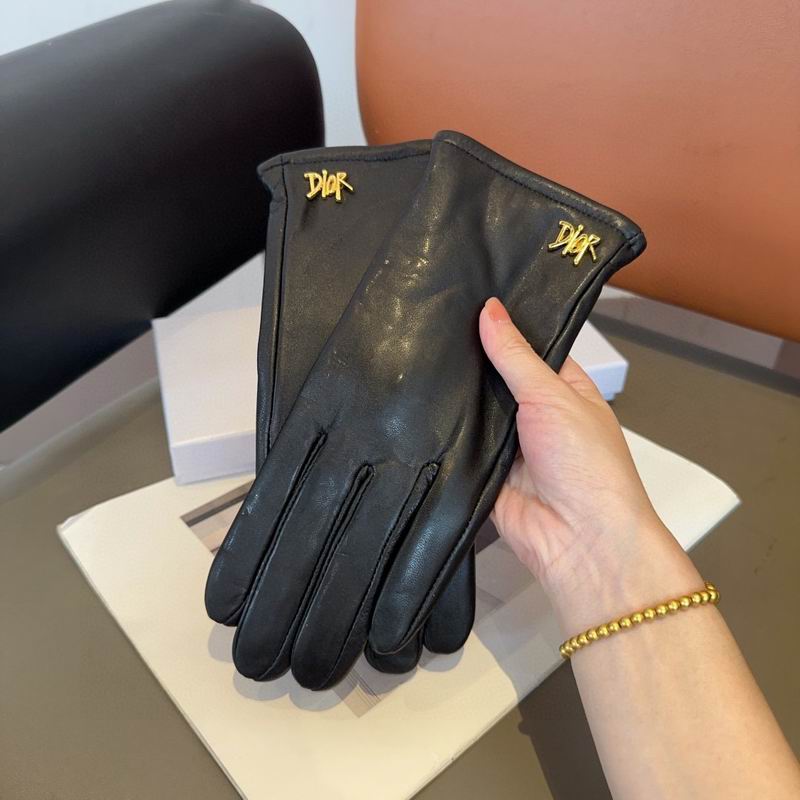 Dior Gloves 63 (3)