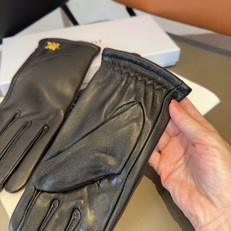 Dior Gloves 63 (4)