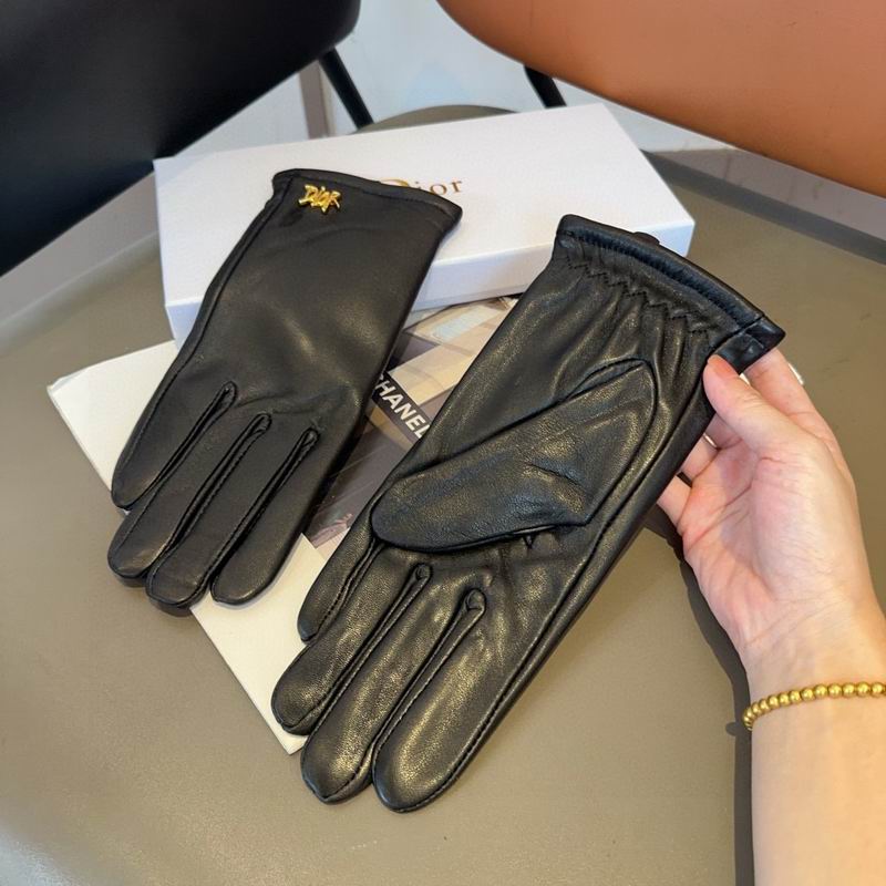 Dior Gloves 63 (5)