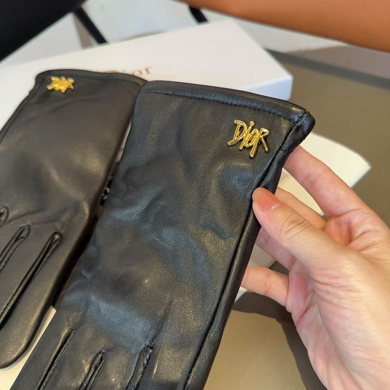 Dior Gloves 63 (6)