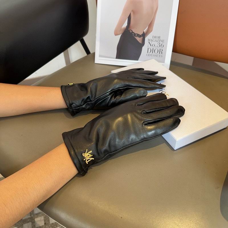 Dior Gloves 63 (9)