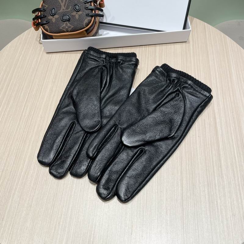 Dior Gloves 96 (4)