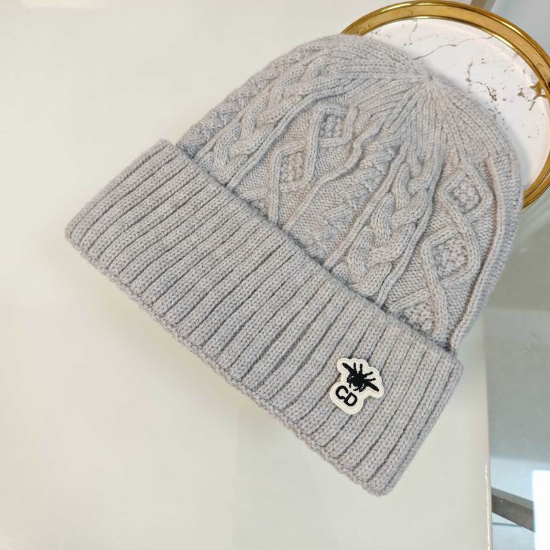 Dior Hat dx (2604)