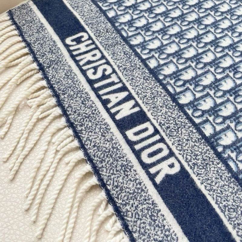 Dior Scarf 50X180cm E13 (10)