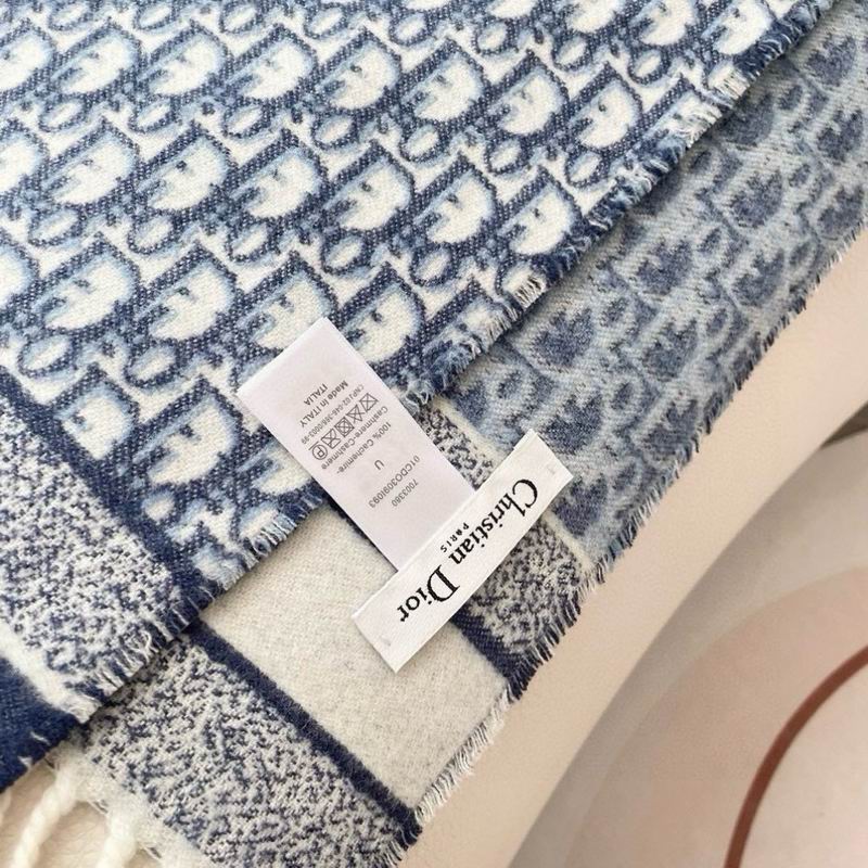 Dior Scarf 50X180cm E13 (11)