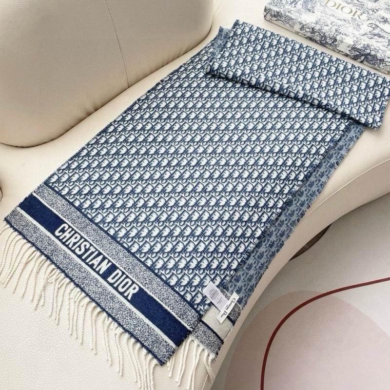Dior Scarf 50X180cm E13 (13)