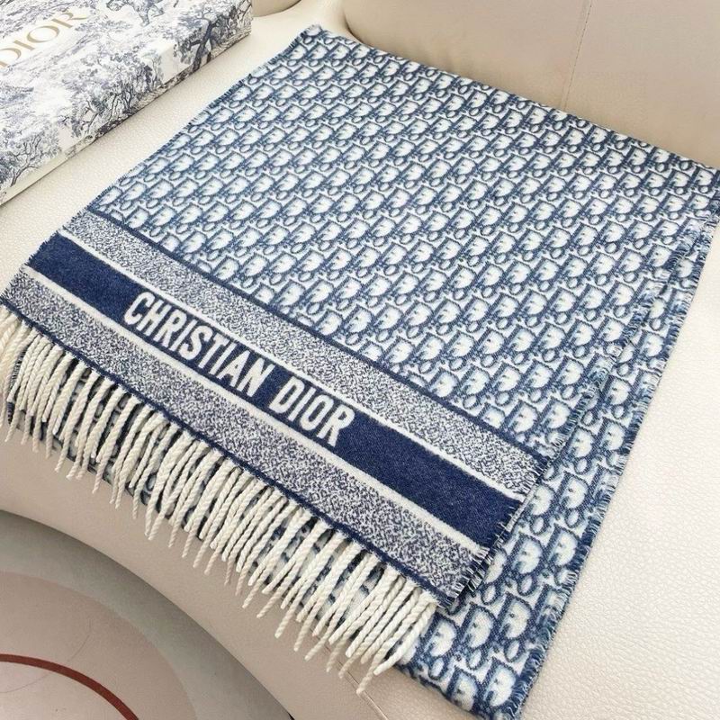 Dior Scarf 50X180cm E13 (15)