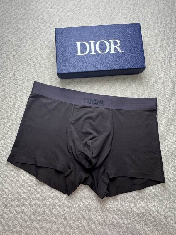 Dior boxer L-4XL 16 (8)