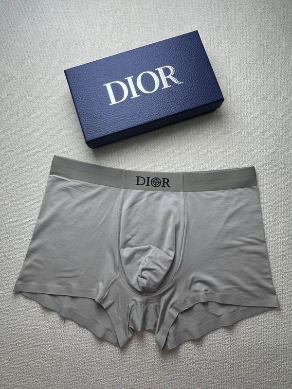 Dior boxer L-4XL 16 (9)
