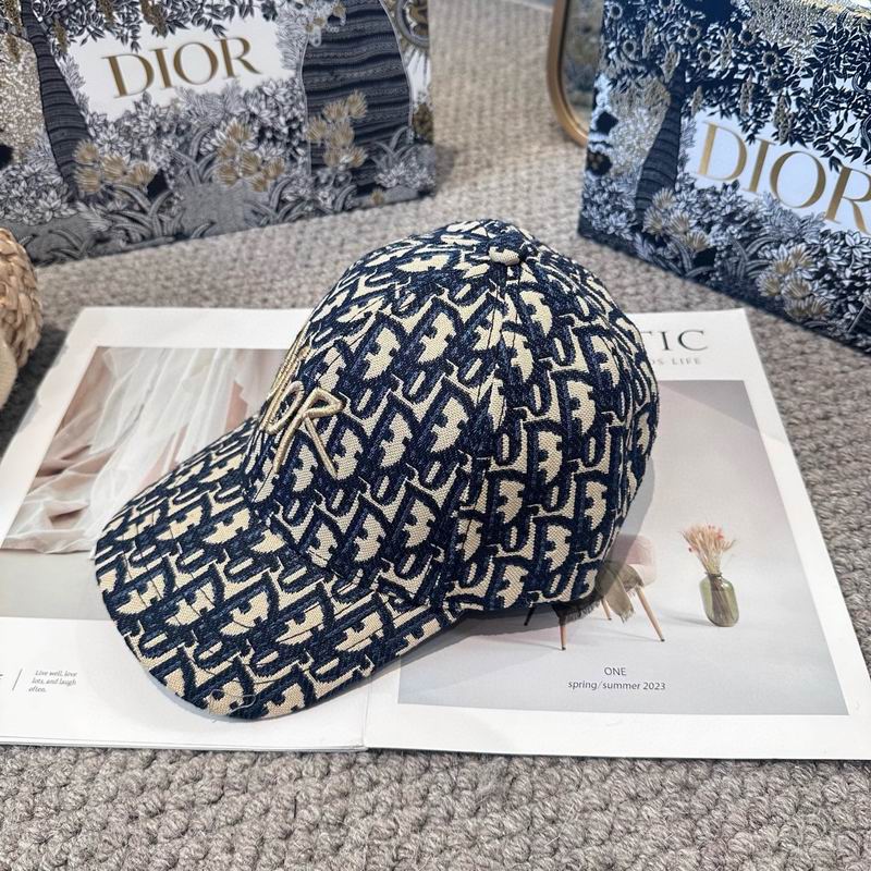 Dior cap (1173)