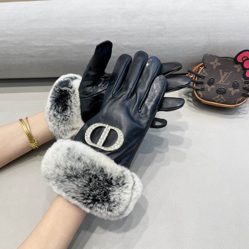 Dior gloves 111 (4)