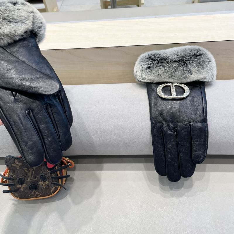 Dior gloves 111 (6)