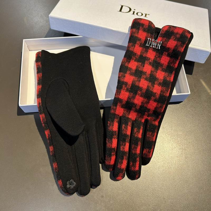 Dior gloves 25 (4)