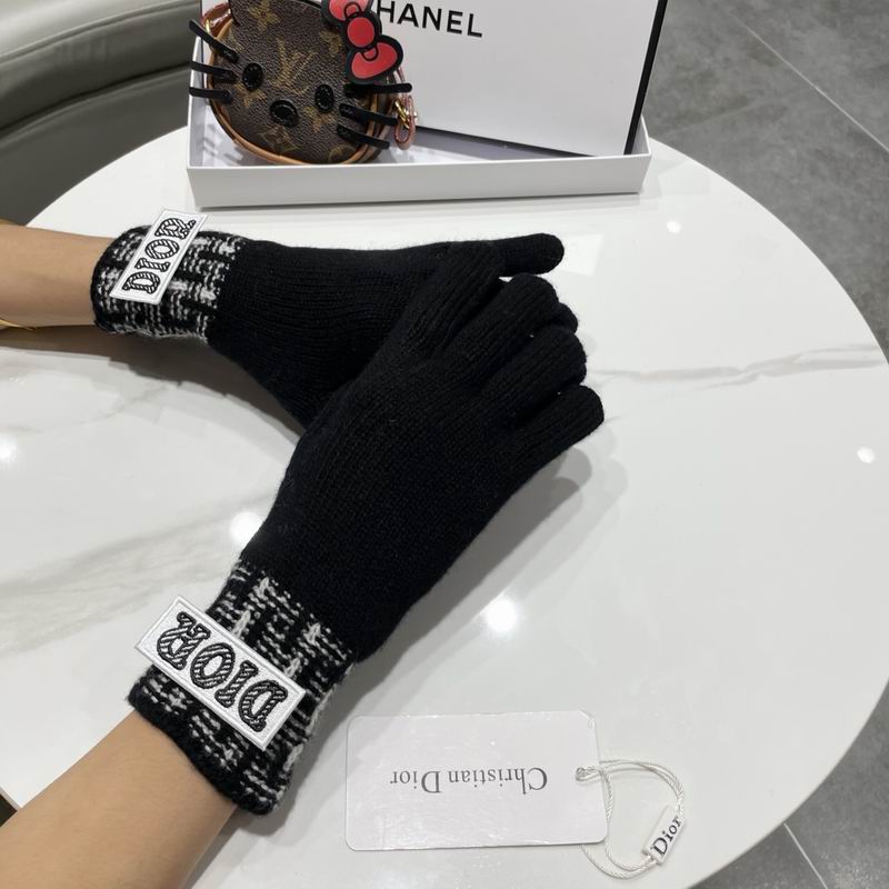 Dior gloves 79 (4)