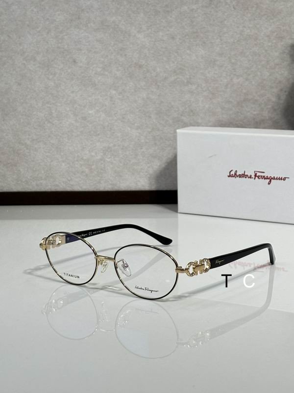Ferragamo SF2541RA 53-16-135 c04