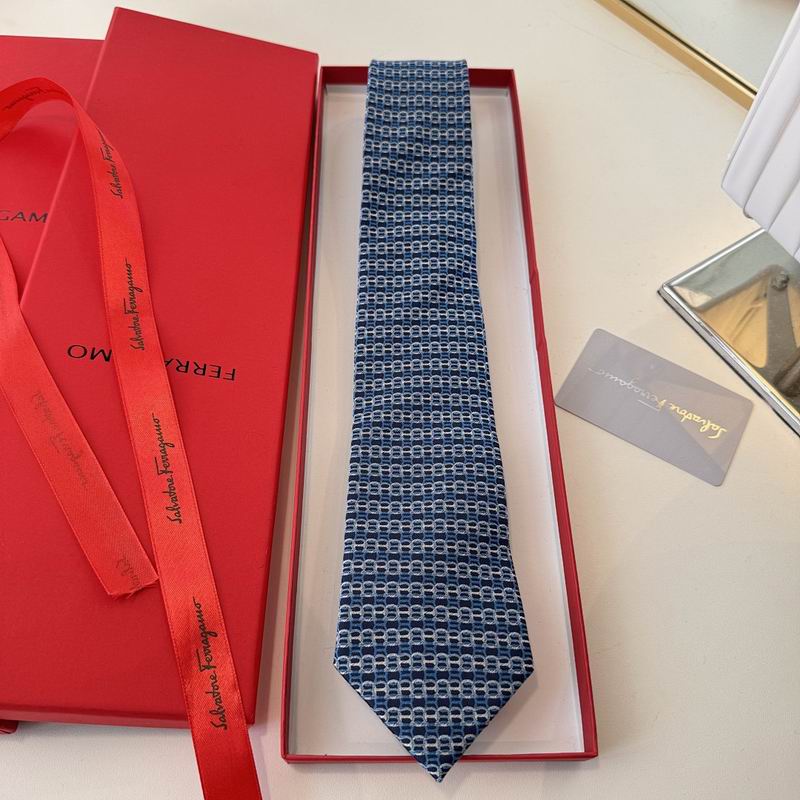 Ferragamo Tie hm (17)