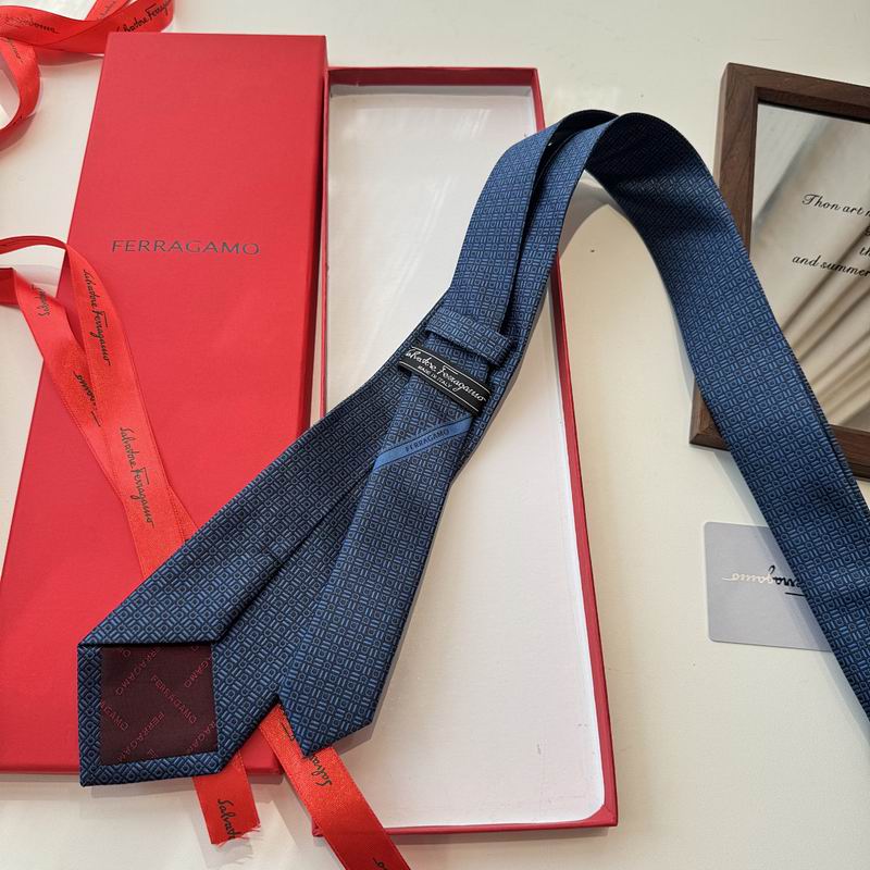 Ferragamo Tie hm (29)