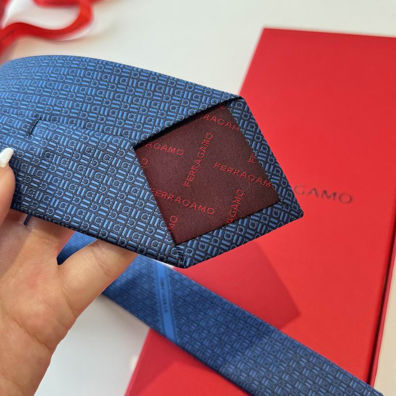Ferragamo Tie hm (30)