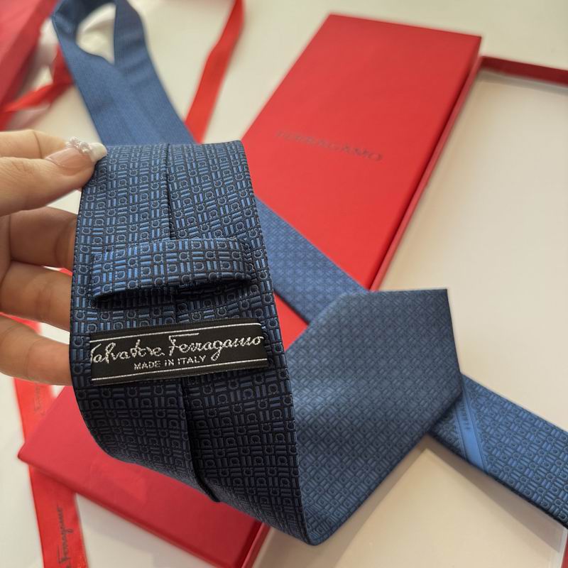 Ferragamo Tie hm (31)